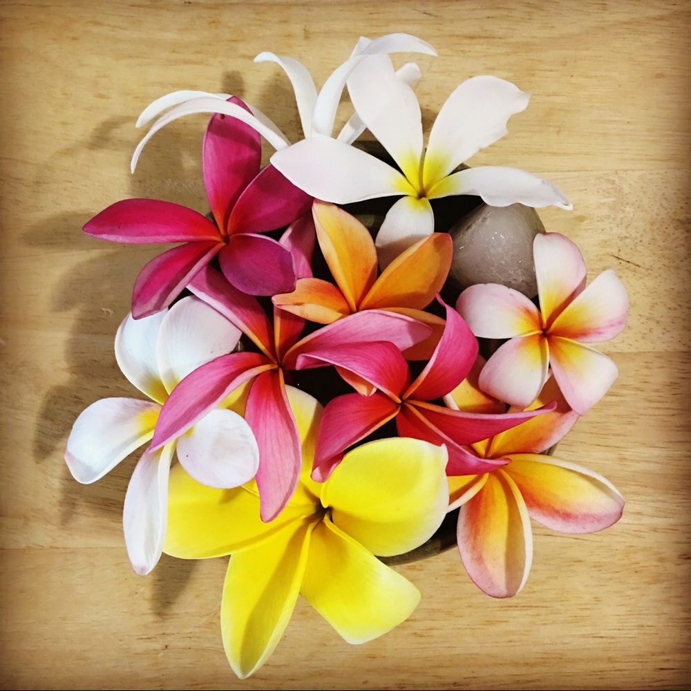 Meet your Posher, Shawn